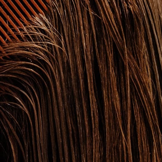 Halo scalp bath at Sisters Salon and Spa in Beavercreek, OH